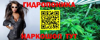 гидра Жуковский