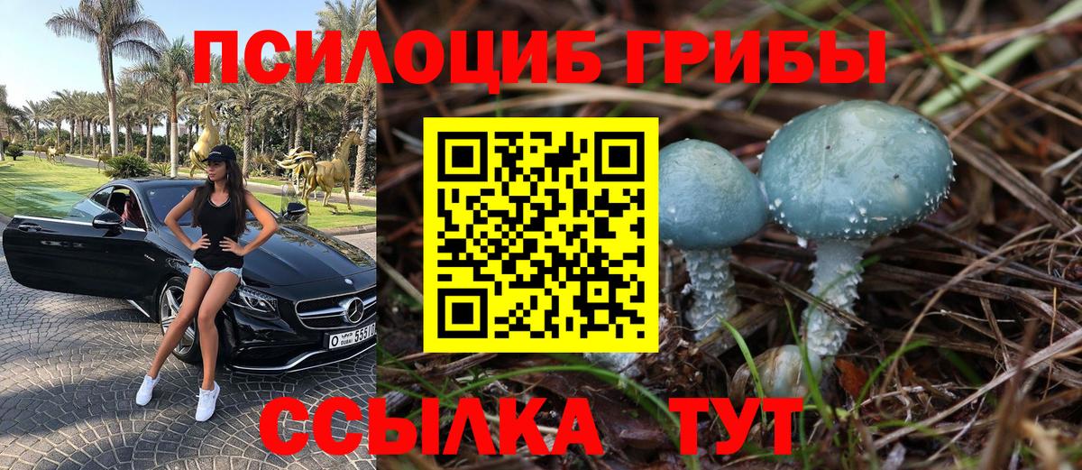 Галлюциногенные грибы Magic Shrooms Долгопрудный